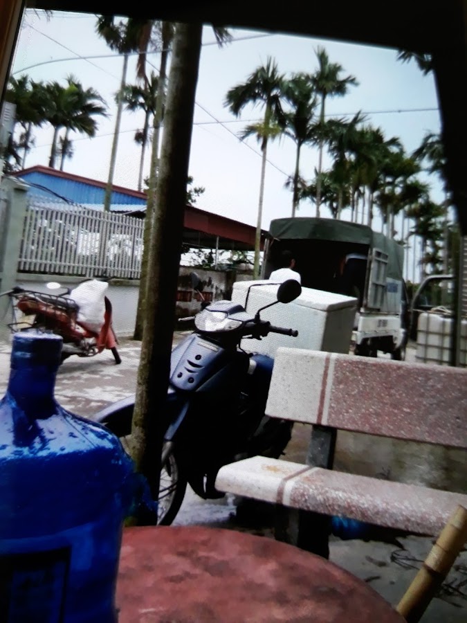 Cơ Sở Cá Giống Tiến Quý