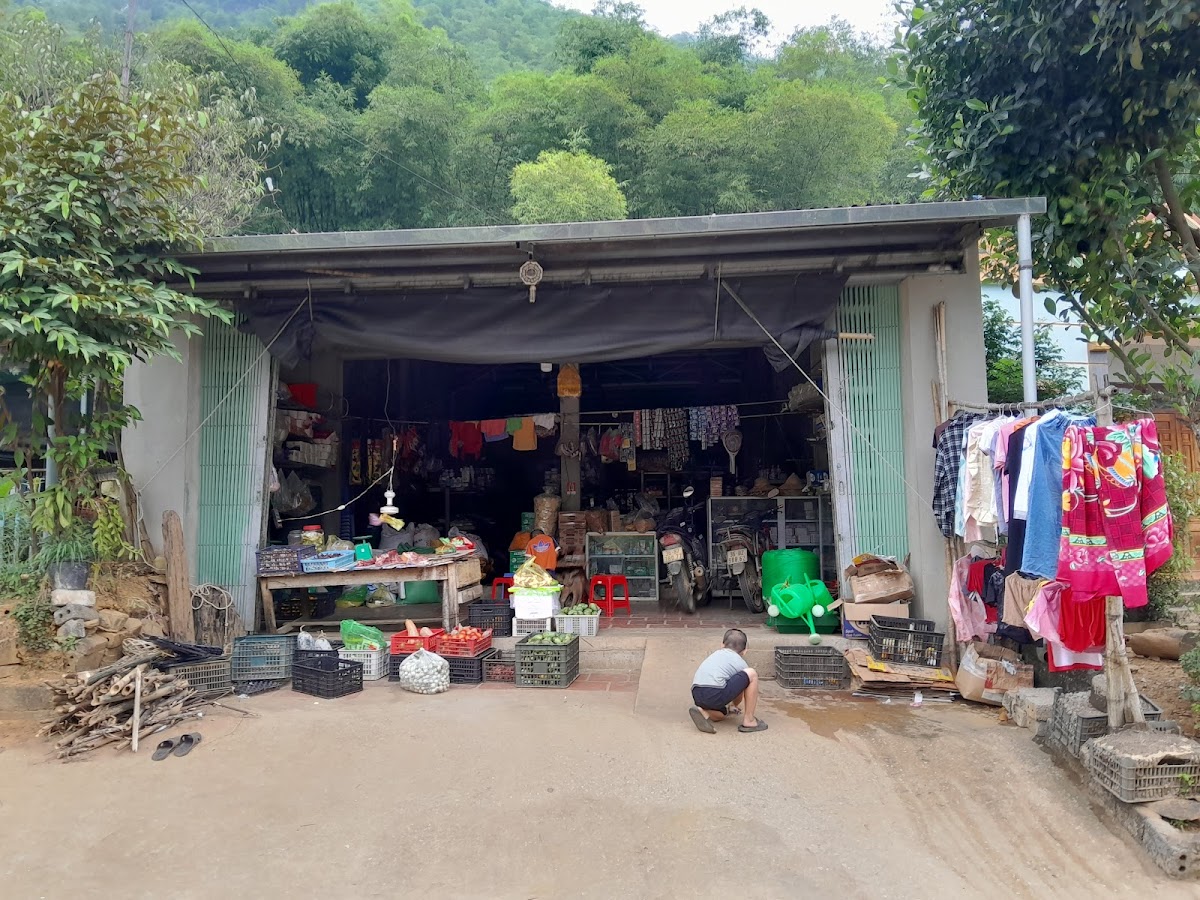 Đỗ Nga Thảo mộc thuốc nam xương khớp dạ dày viêm xoang tai biến viêm da cơ địa