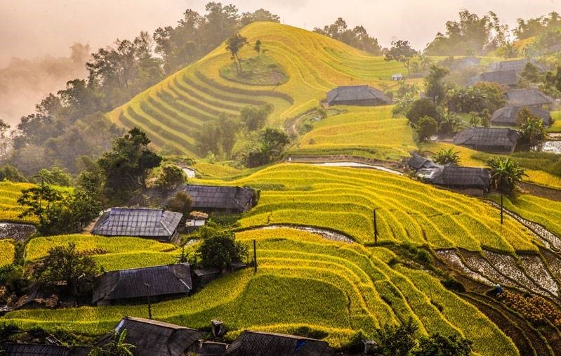 Công Ty TNHH Thương Mại Và Du Lịch Tây Bắc