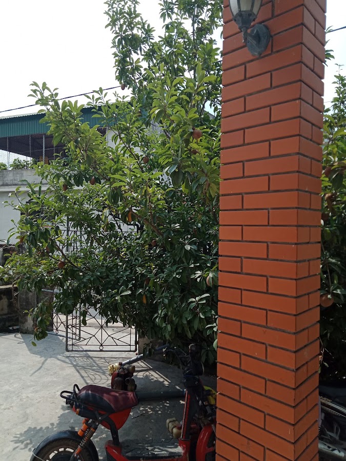 Huyền Bủa Quán