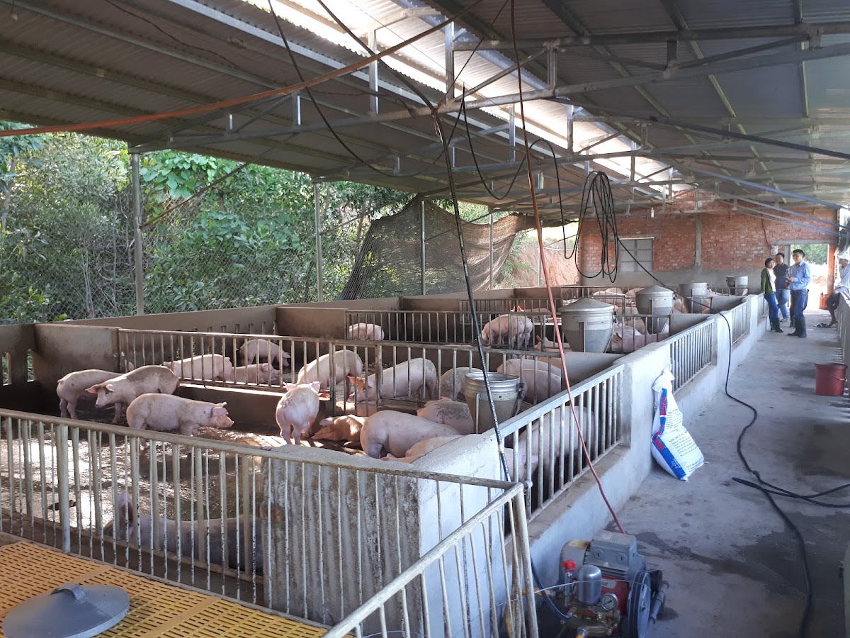 Siêu Thị Chăn Nuôi Ngọc Châu