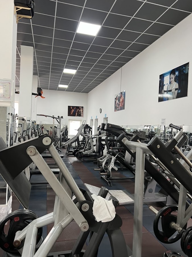 GYM&FITNESS SEVEN TIGER
