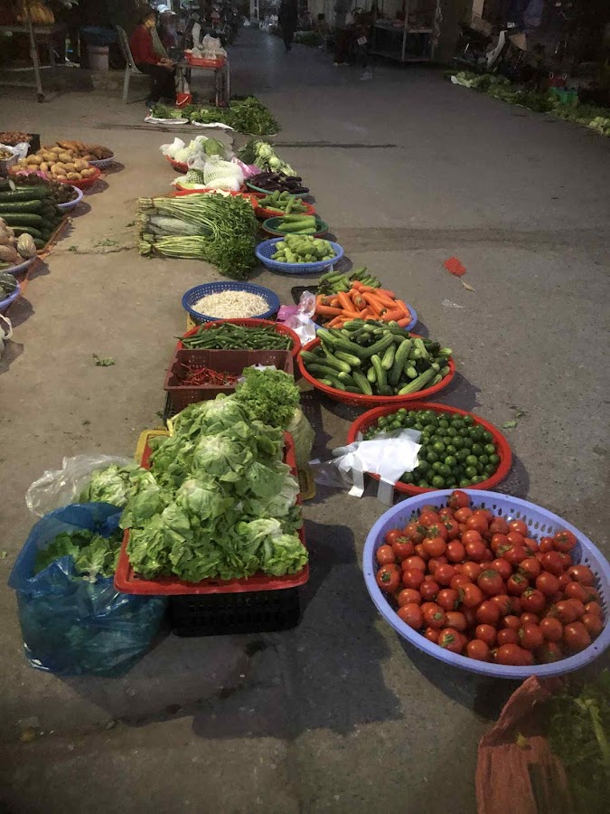 Rau sạch Thuấn Thảo