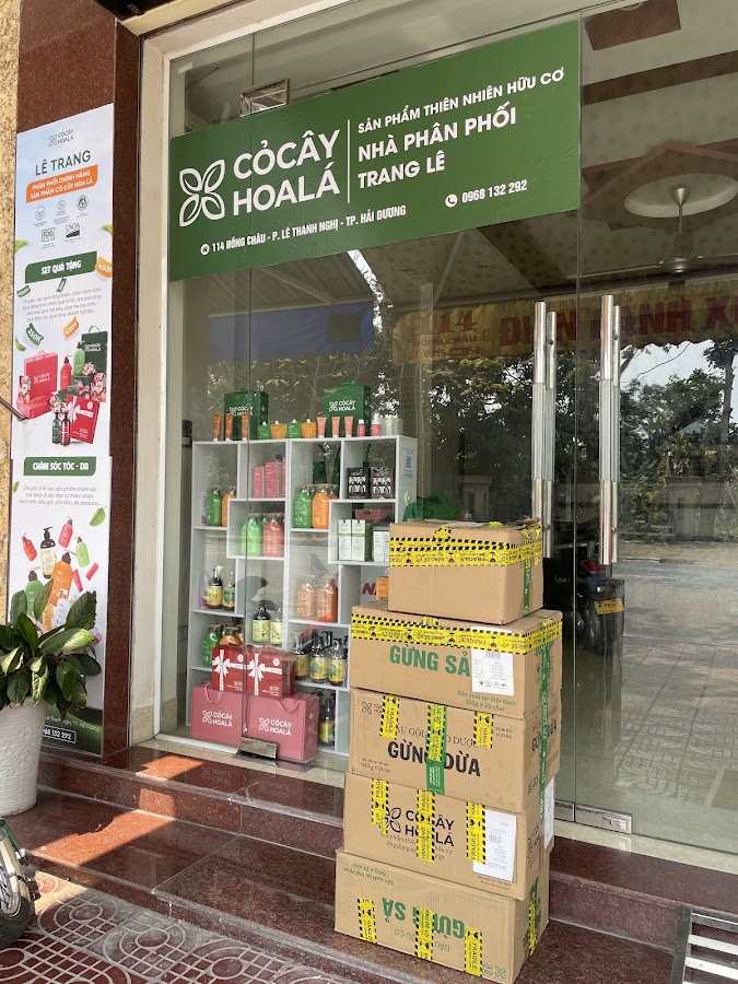 SHOWROOM CỎ CÂY HOA LÁ HẢI DƯƠNG
