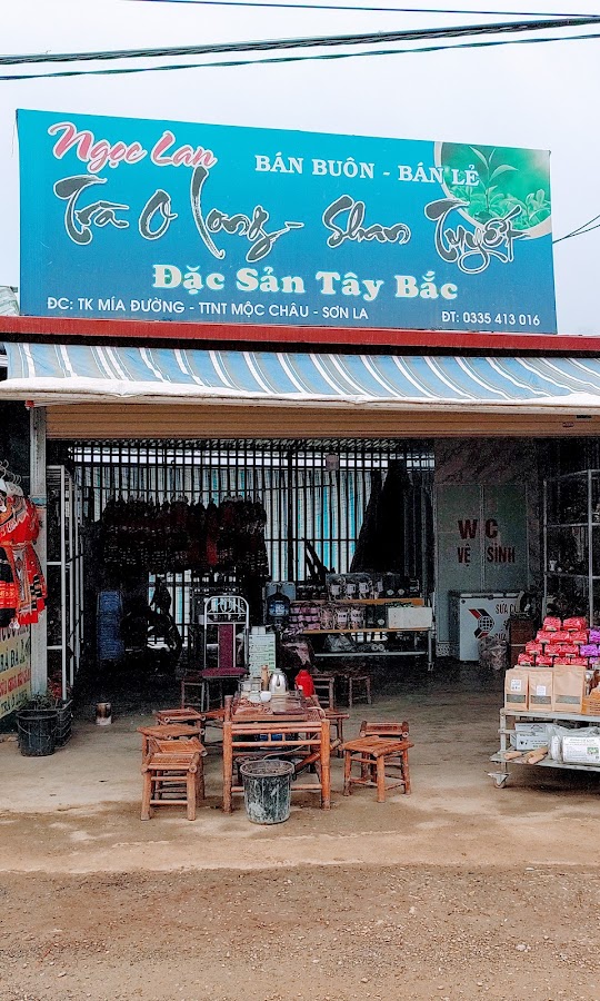 NGỌC LAN OLONG TRÀ