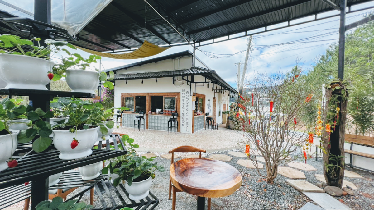 Ichigo Strawberry Farm Đà Lạt