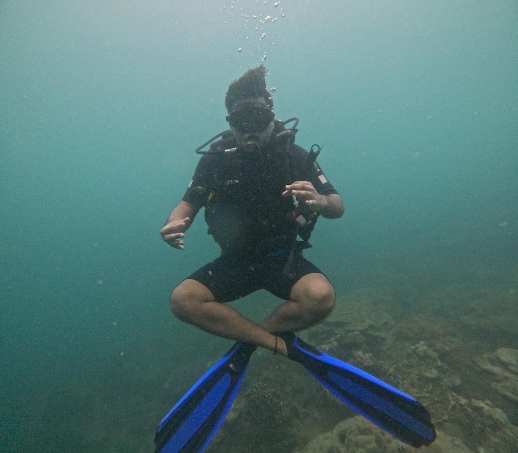 Blue Coral Diving