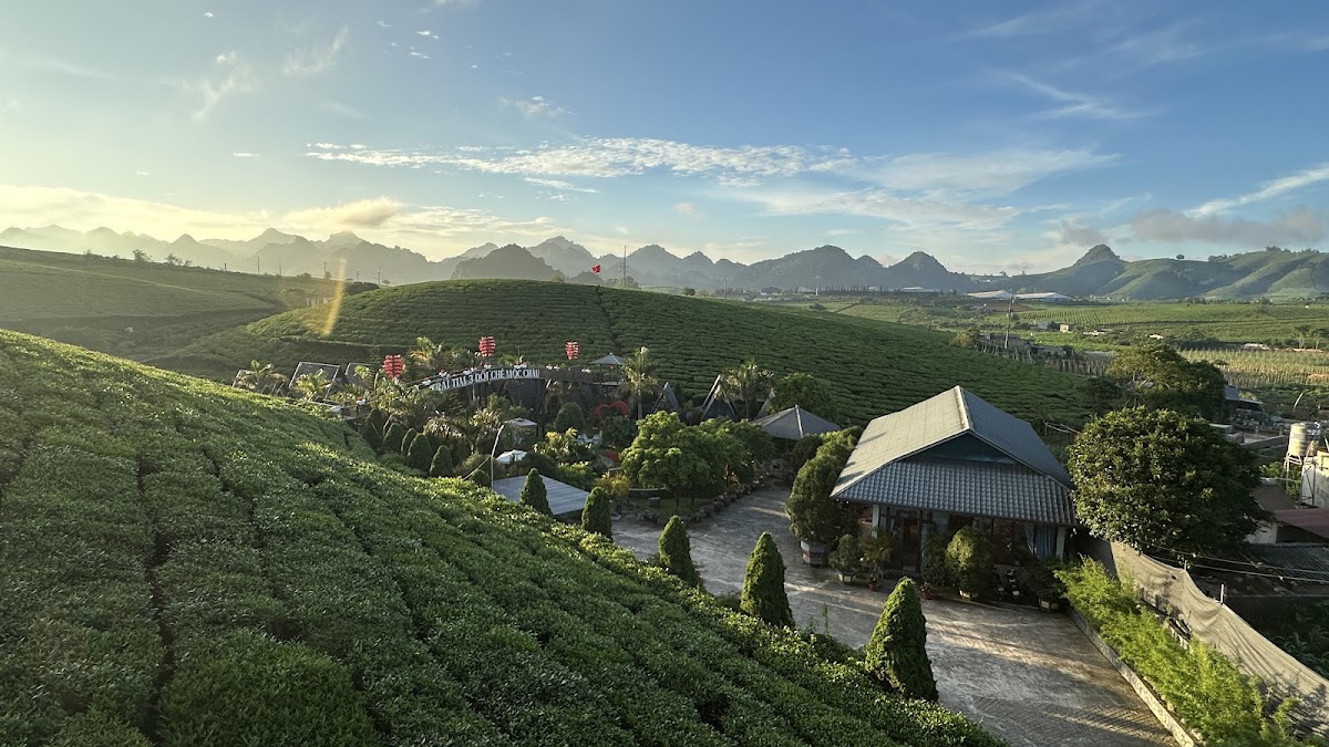 Trái tim ba đồi chè Homestay