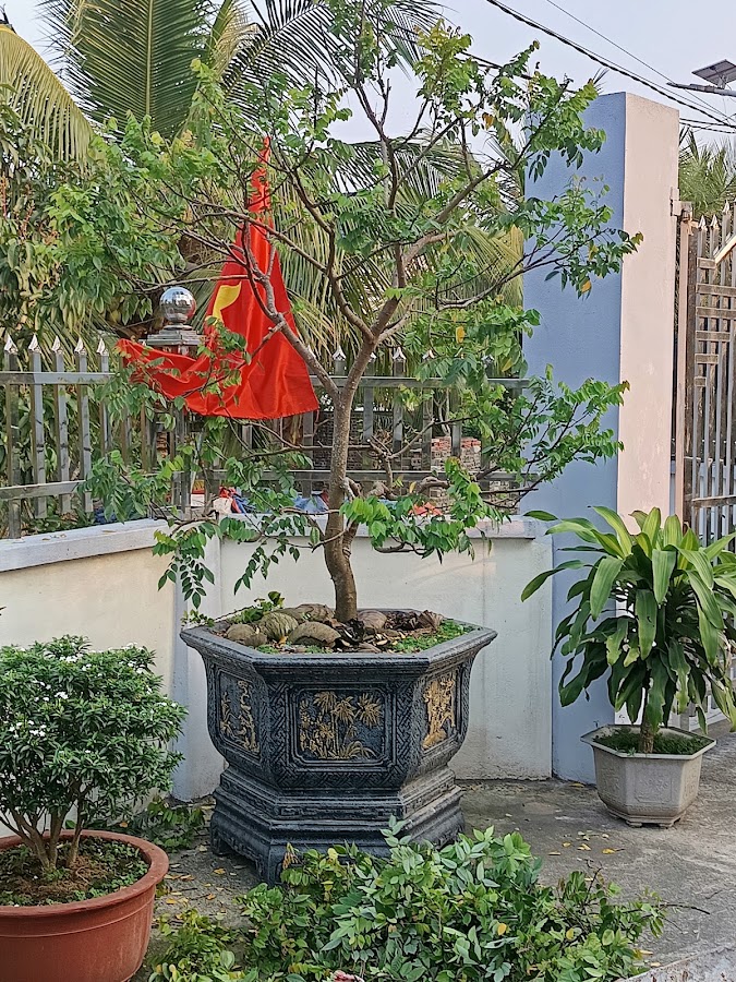 Tạp Hóa Điệp Vĩnh