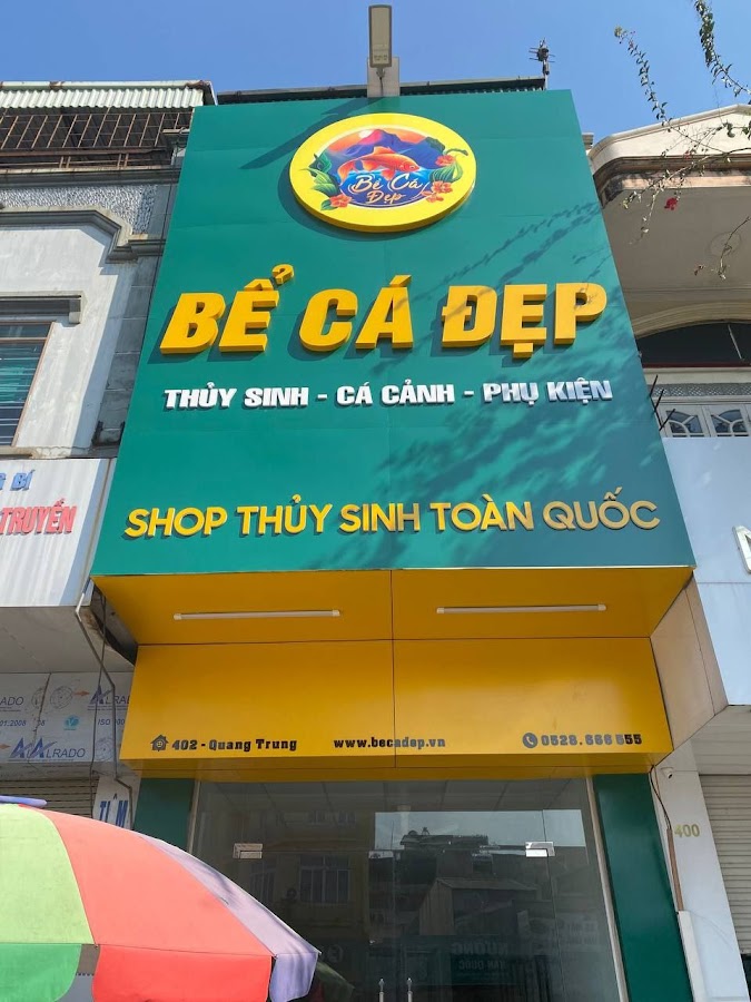 Cửa Hàng Thủy Sinh - Bể Cá Đẹp