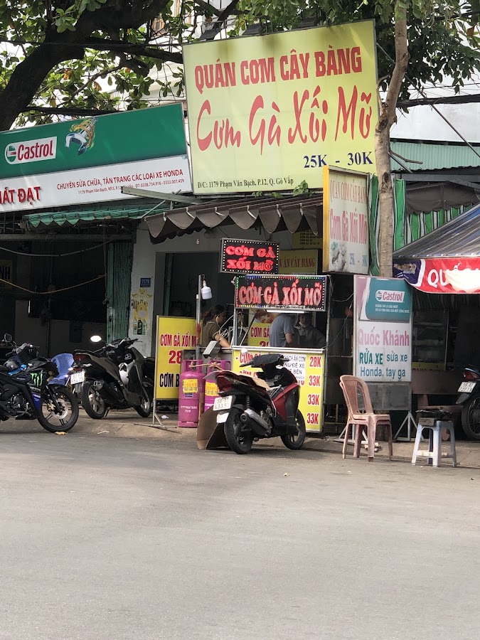 QUÁN CƠM GÀ XỐI MỠ CÂY BÀNG