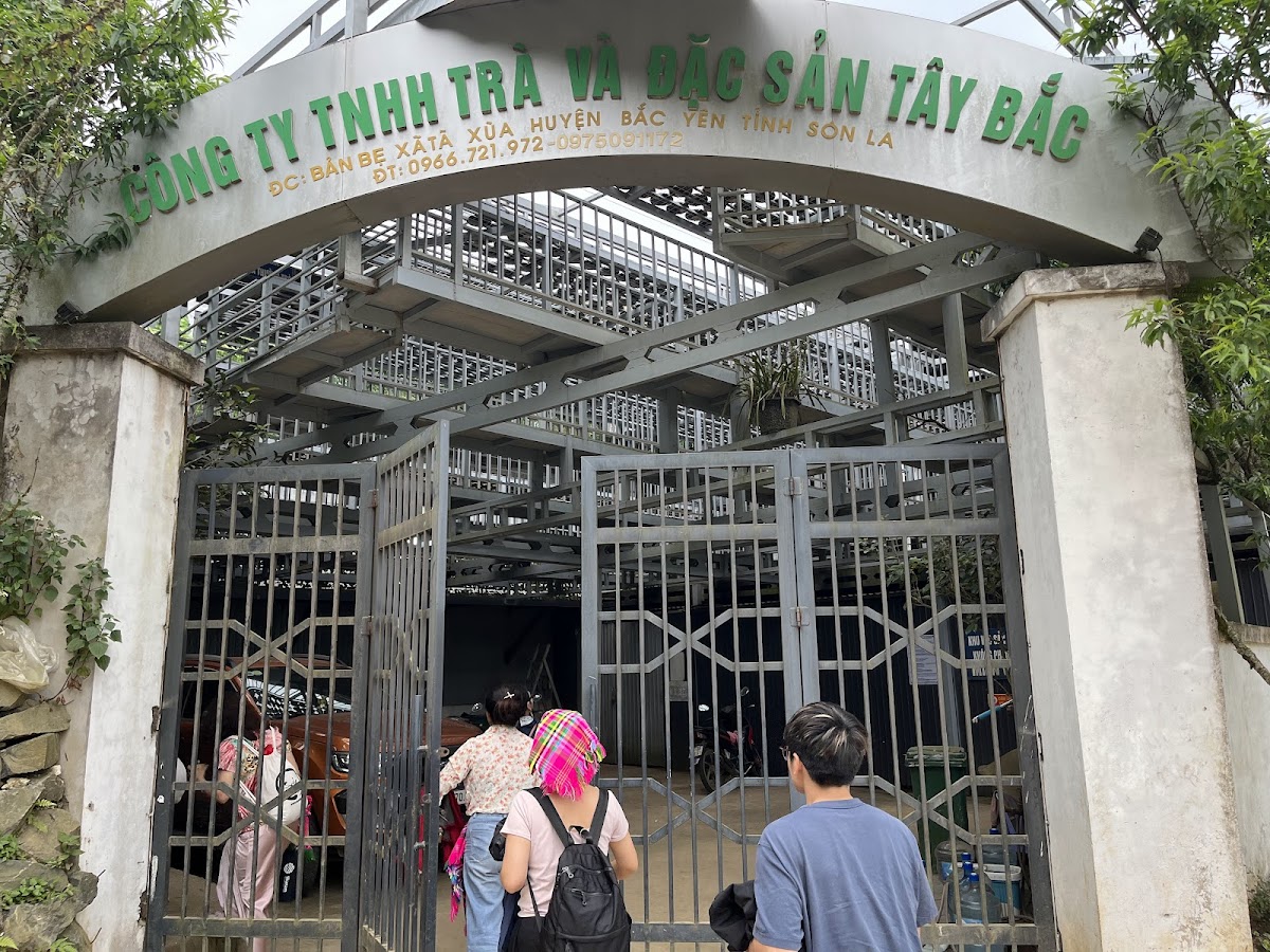Không gian văn hóa THưởng trà Tà Xùa