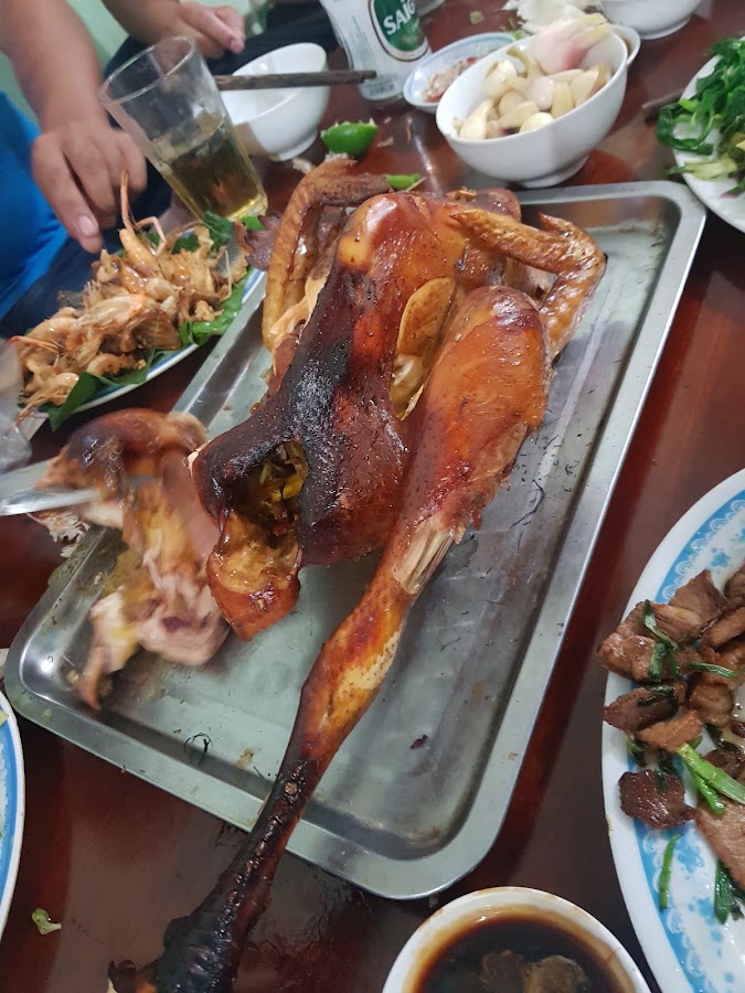 Tình Rắn