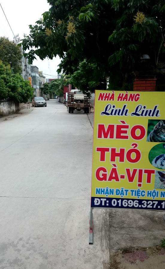 Mừng Lĩnh Quán