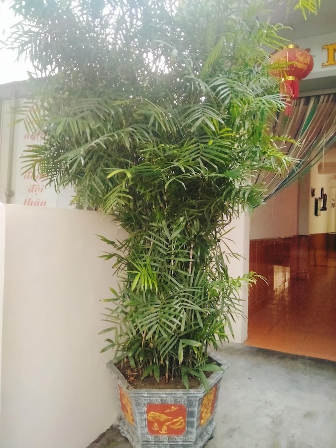 Nhà Nghỉ Hương Trang