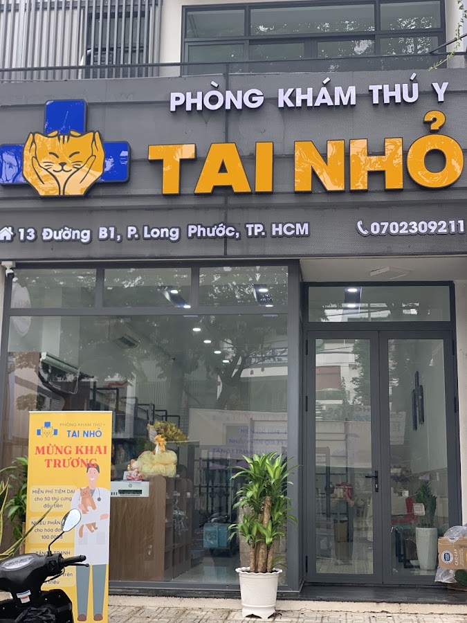 Phòng khám Thú y Tai Nhỏ
