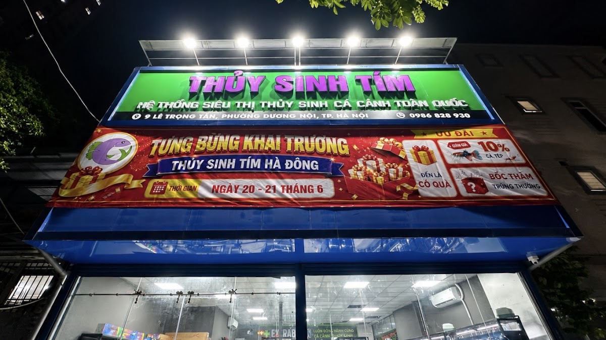Thủy Sinh Tím - Hà Đông