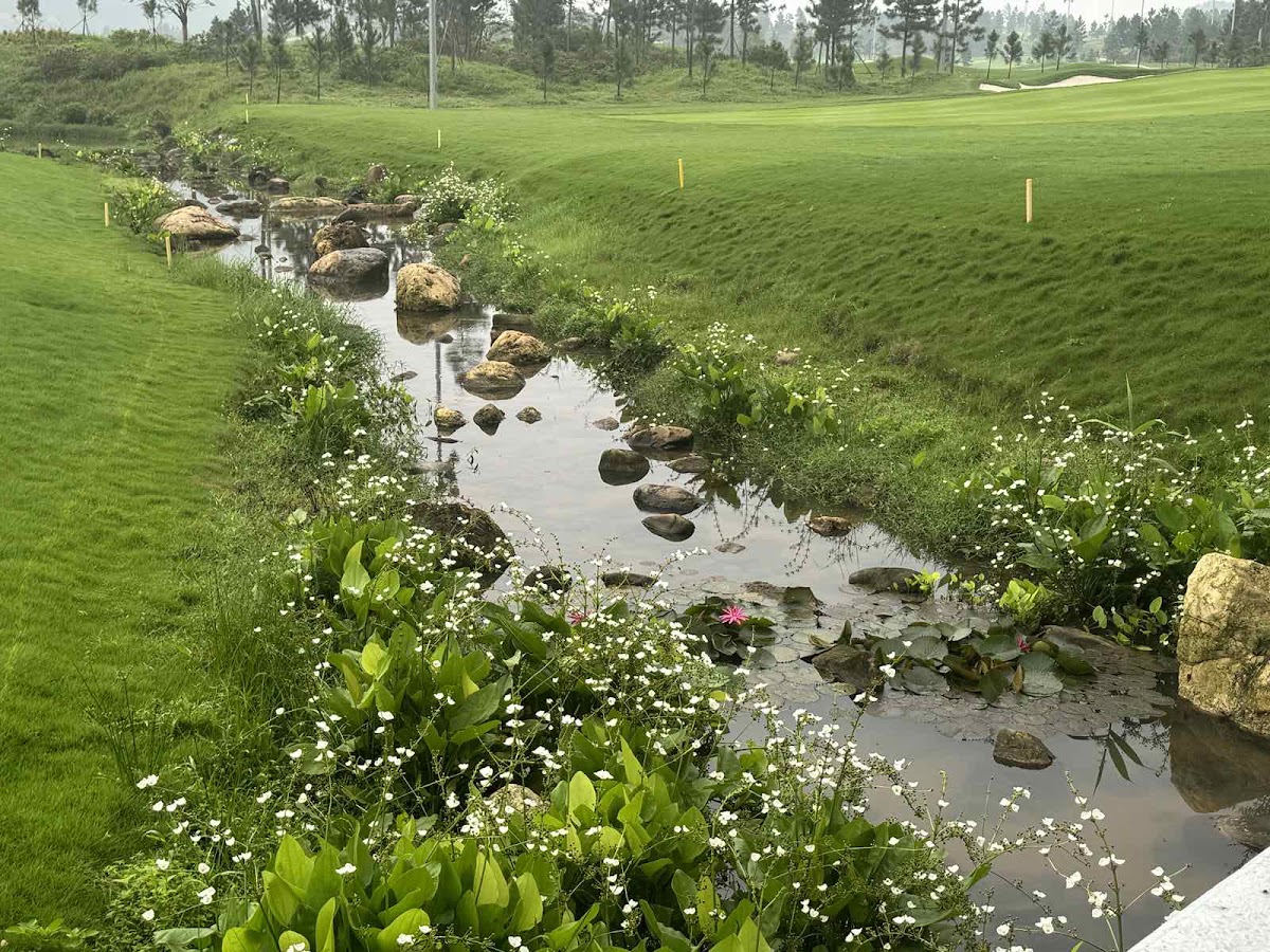 Nhà Khôi Nguyễn