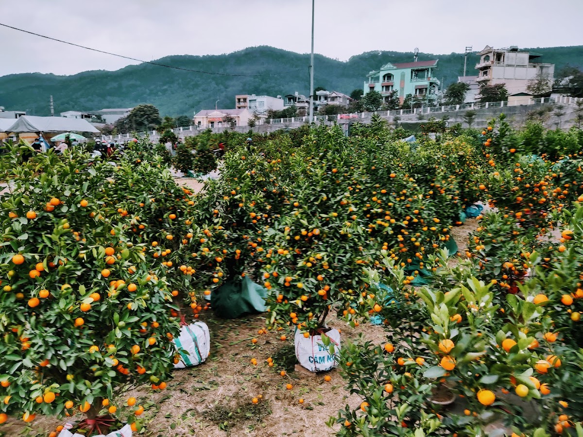 Công viên trung tâm TP Cẩm Phả