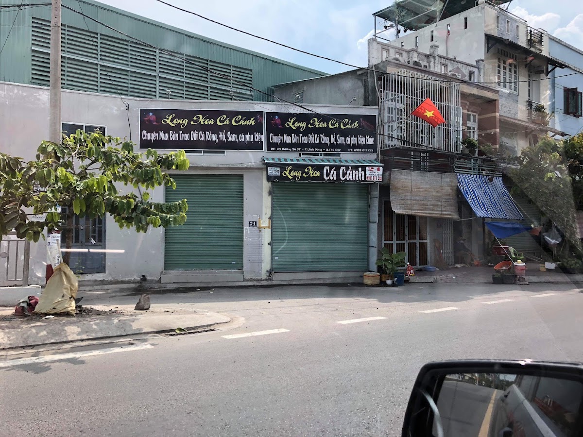 Cá Cảnh Long Hoa
