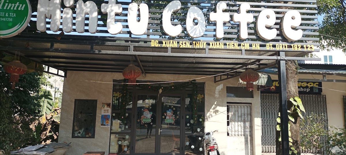 Mintu Coffee