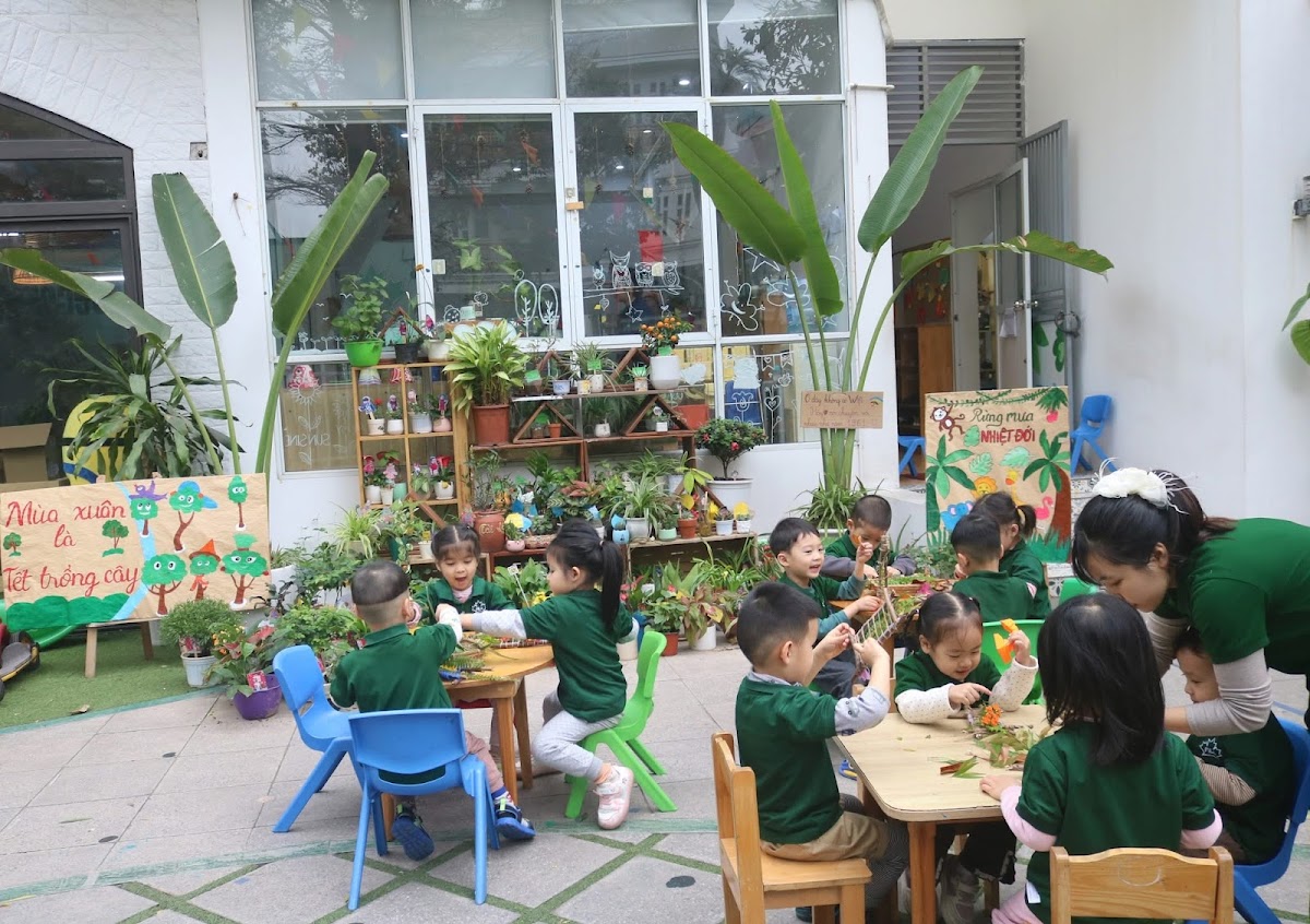 Trường mầm non Lá Phong Xanh Spring