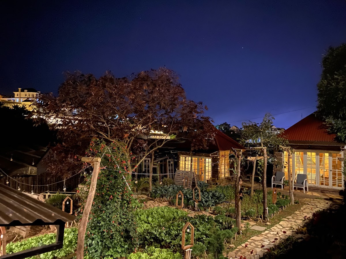 The Burrow Dalat