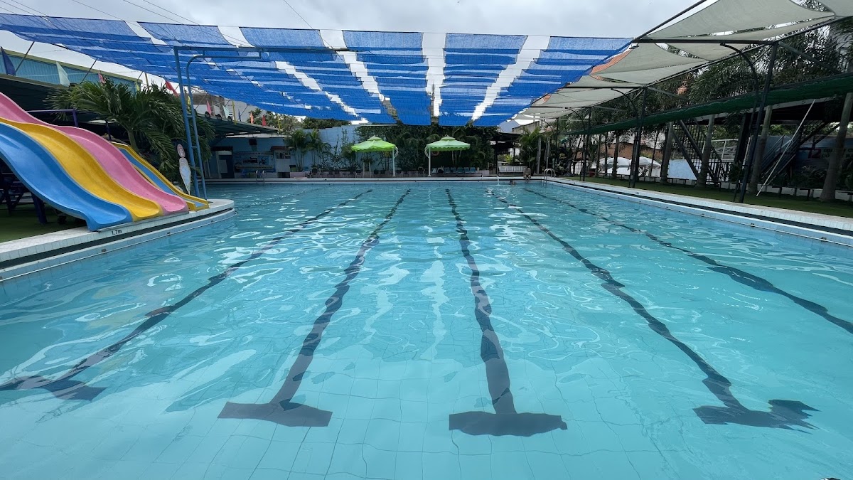 HỒ BƠI SWIMGROUP