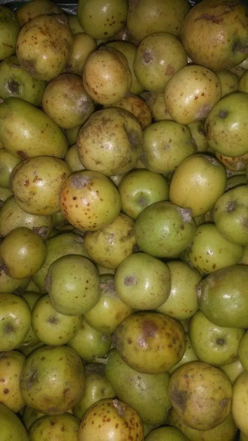 Cửa Hang Xăm Lốp Ô Tô Kiên Giang