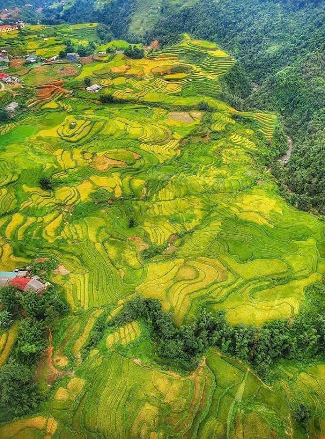 Vietnam Happy Trips