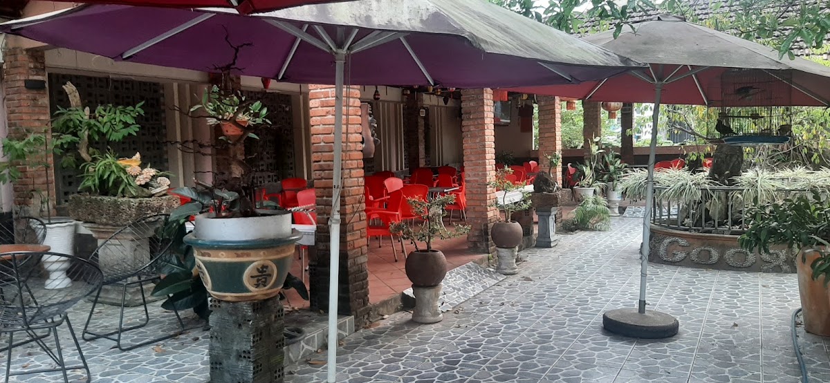 Cafe Google