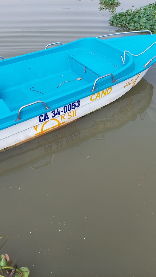 Tuấn cá sông