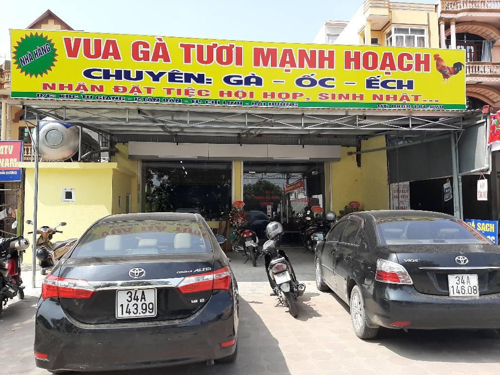 Vua gà tươi mạnh hoạch tân dân_ chí linh_ hải dương