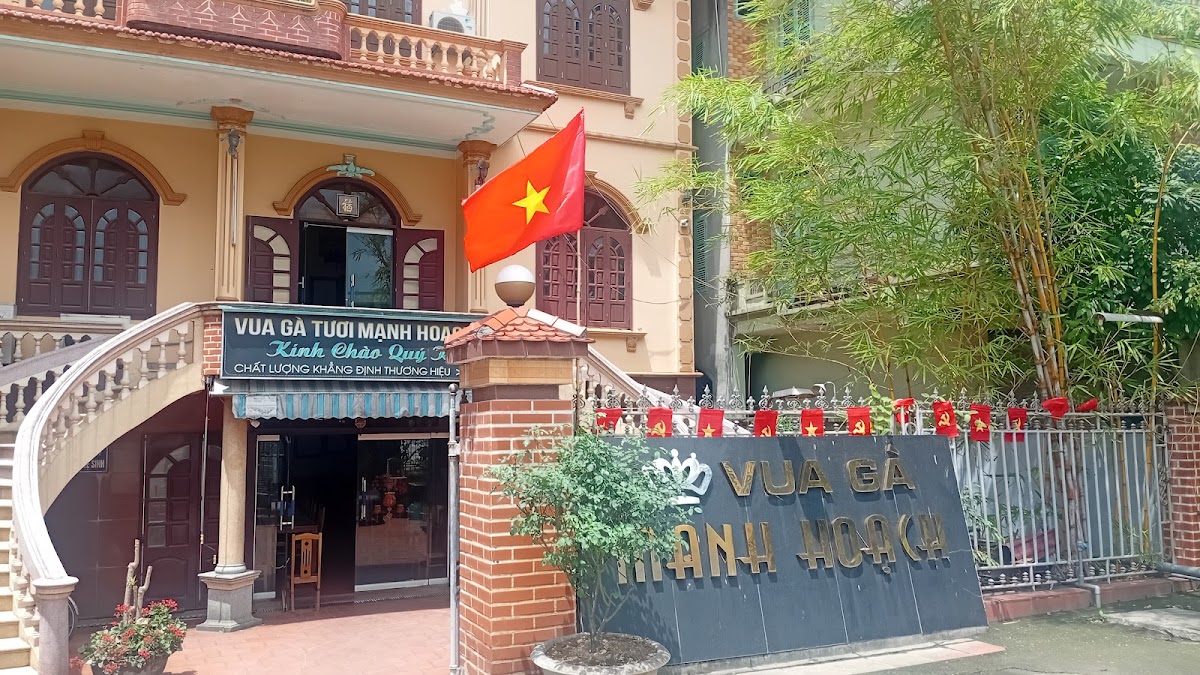 Gà Mạnh Hoạch Phạm Xá Hải Dương