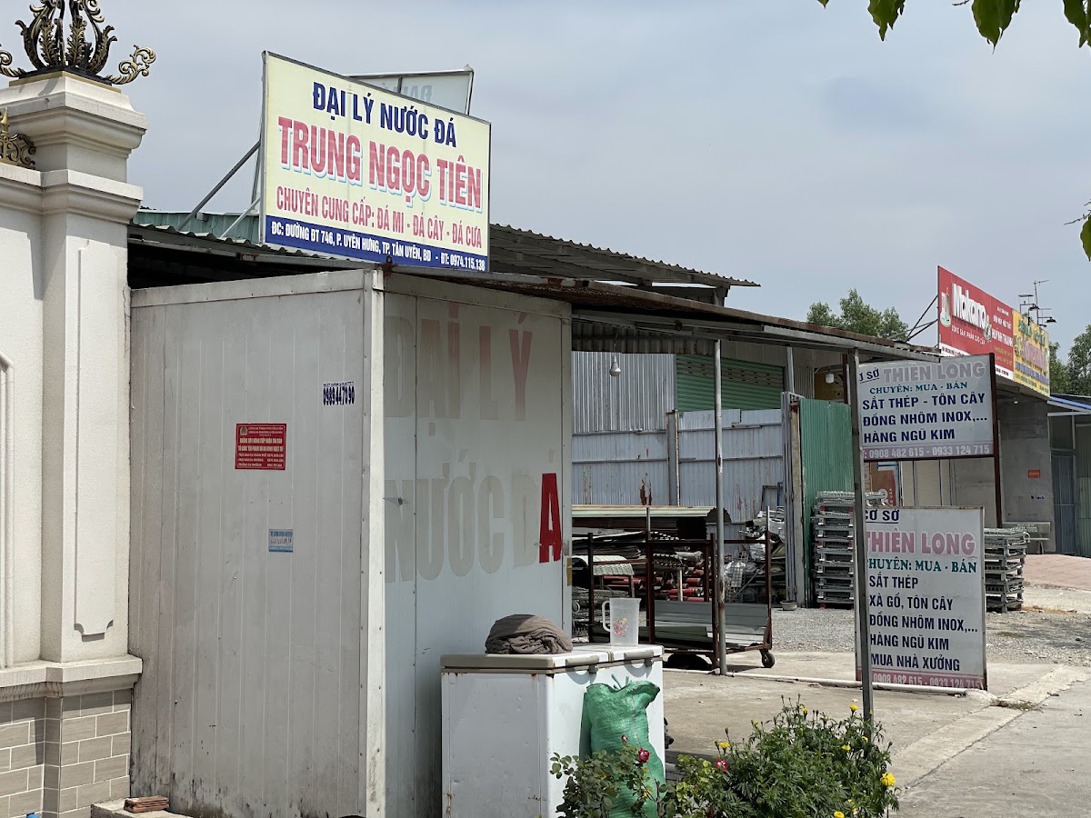 Tạp hóa trung ngọc tiên