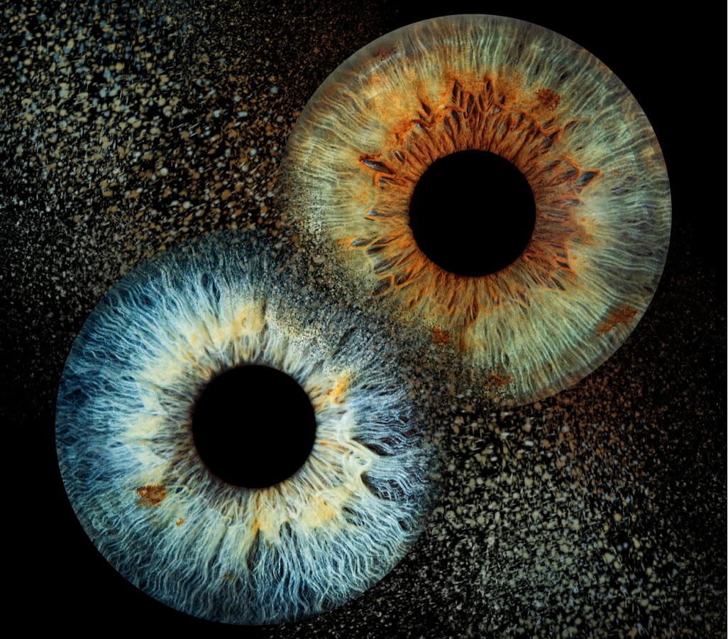 eye eye eye photo / iris photo Vietnam
