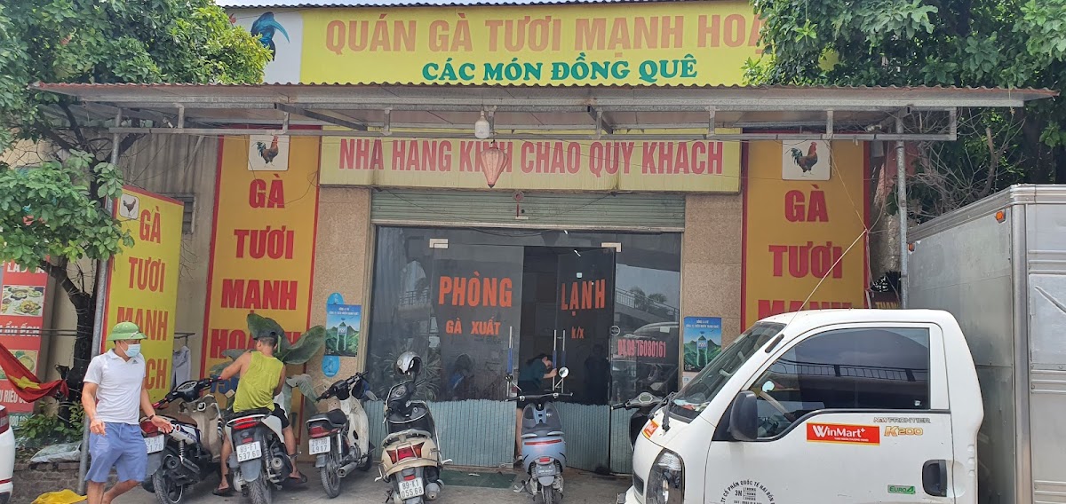 Vua gà tươi mạch hoạch