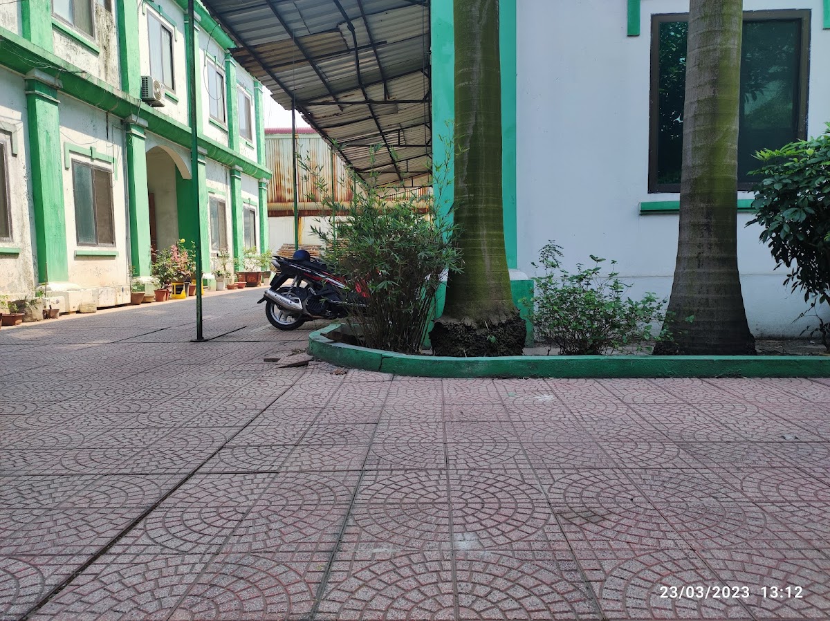 Tập đoàn Việt Anh