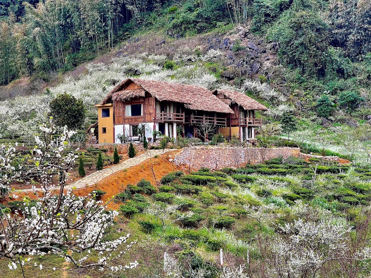 A LAM Boutique Stay