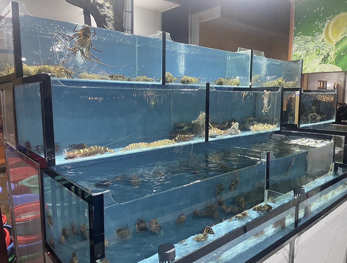Nhà hàng Hải sản Thu Hà ( Restaurant Seafood )