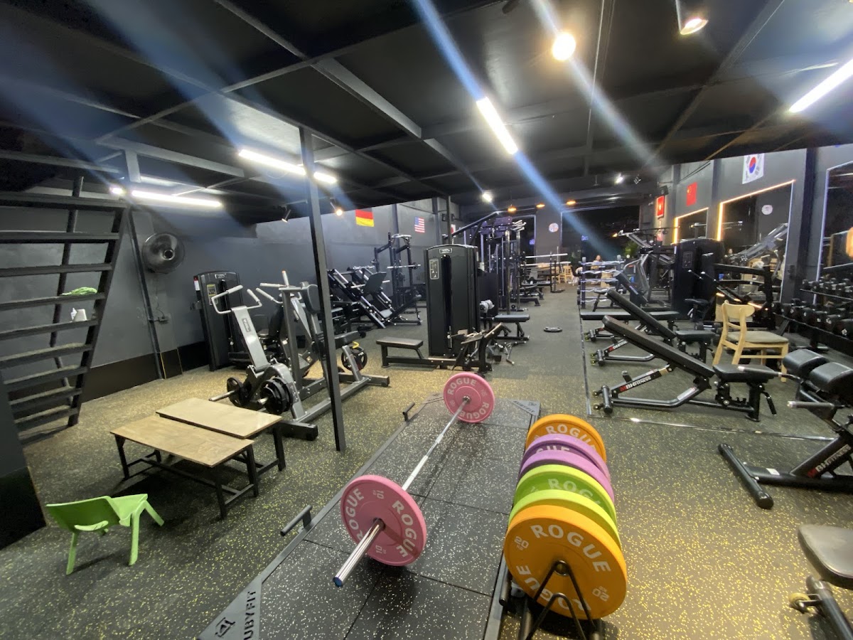 CLB LIONS GYM