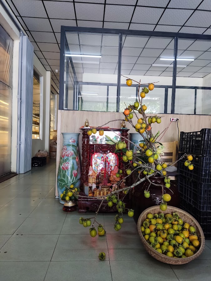 Đông Trùng Hạ Thảo Dalat Newfarm