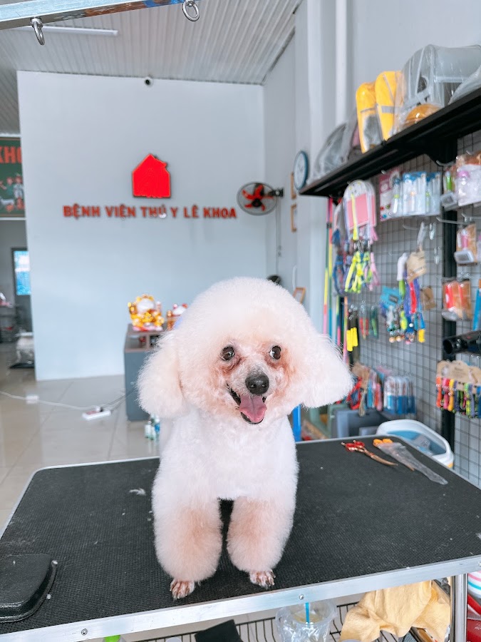 Bệnh Viện Thú Y Lê Khoa Định Quán