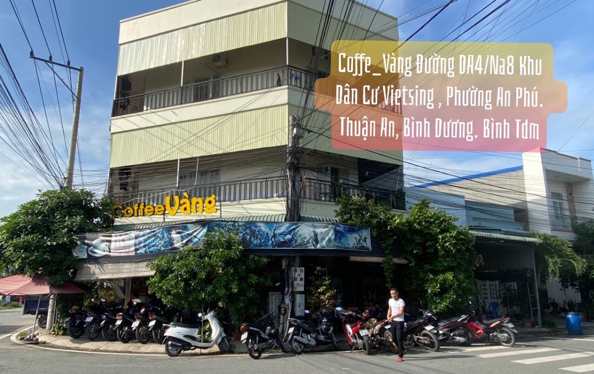 Vàng coffee