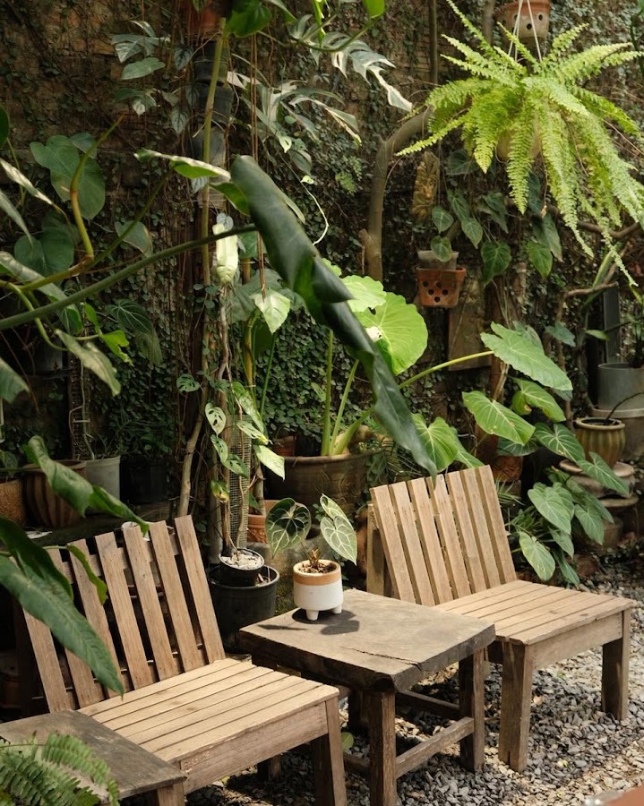 Philo Garden - Garden Cafe & Tea