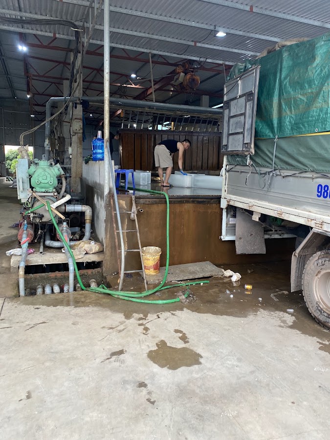 Xưởng sản xuất đá cây xuân thắng