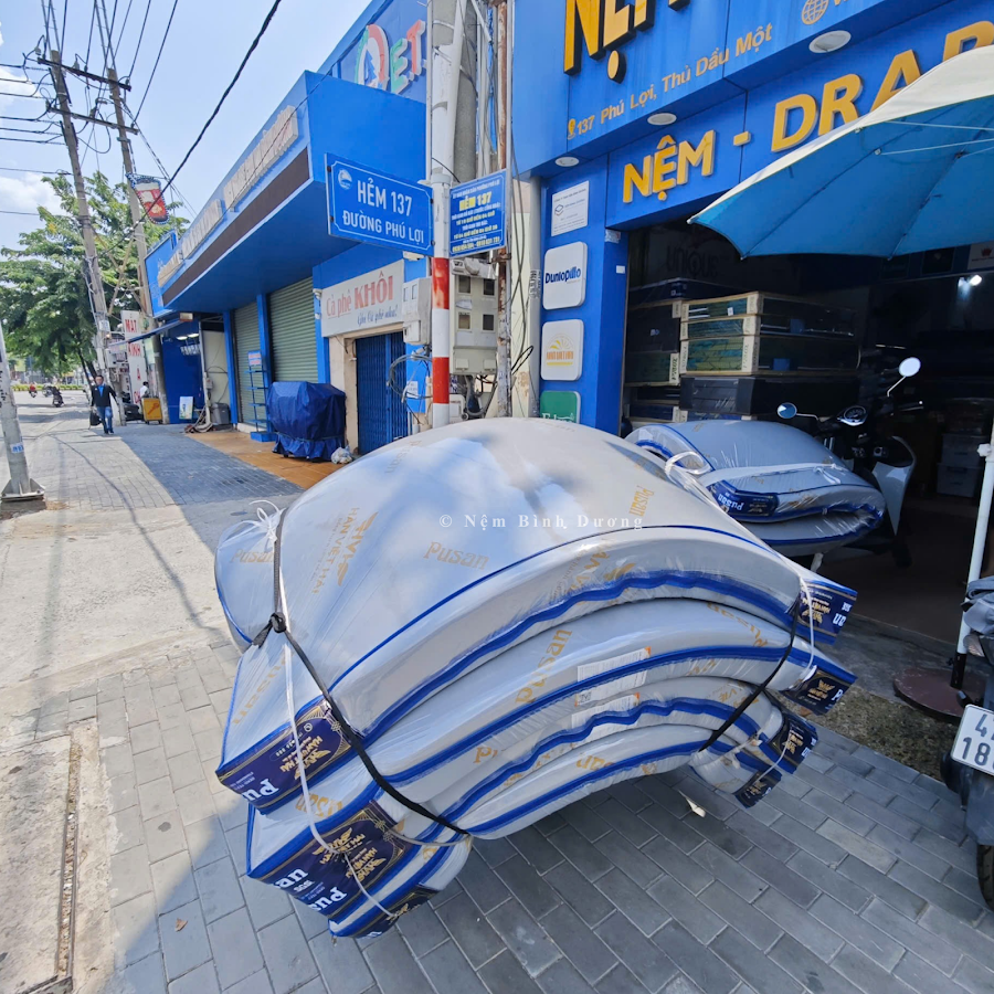 Nệm Bình Dương - Đại lý Liên Á, Vạn Thành, Aroma, Kim Cương