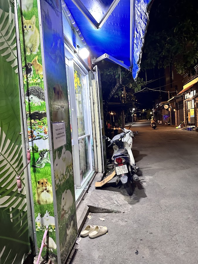 TL PET SHOP - Cửa hàng Hamster Chó Mèo Quận 9