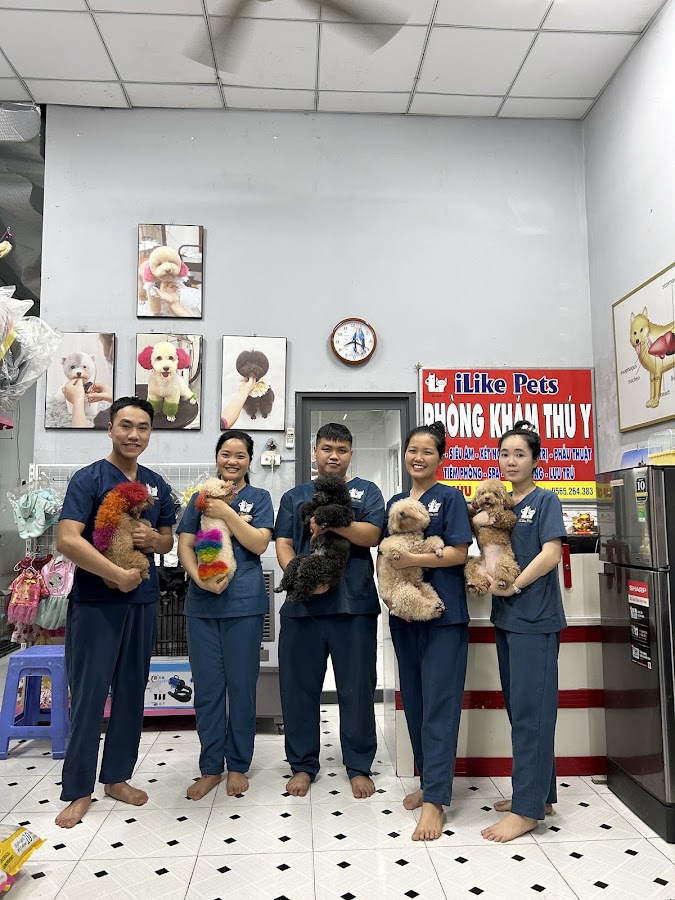 Phòng Khám Thú Y iLike Pets - Petshop Thú Cưng - Spa Chó Mèo