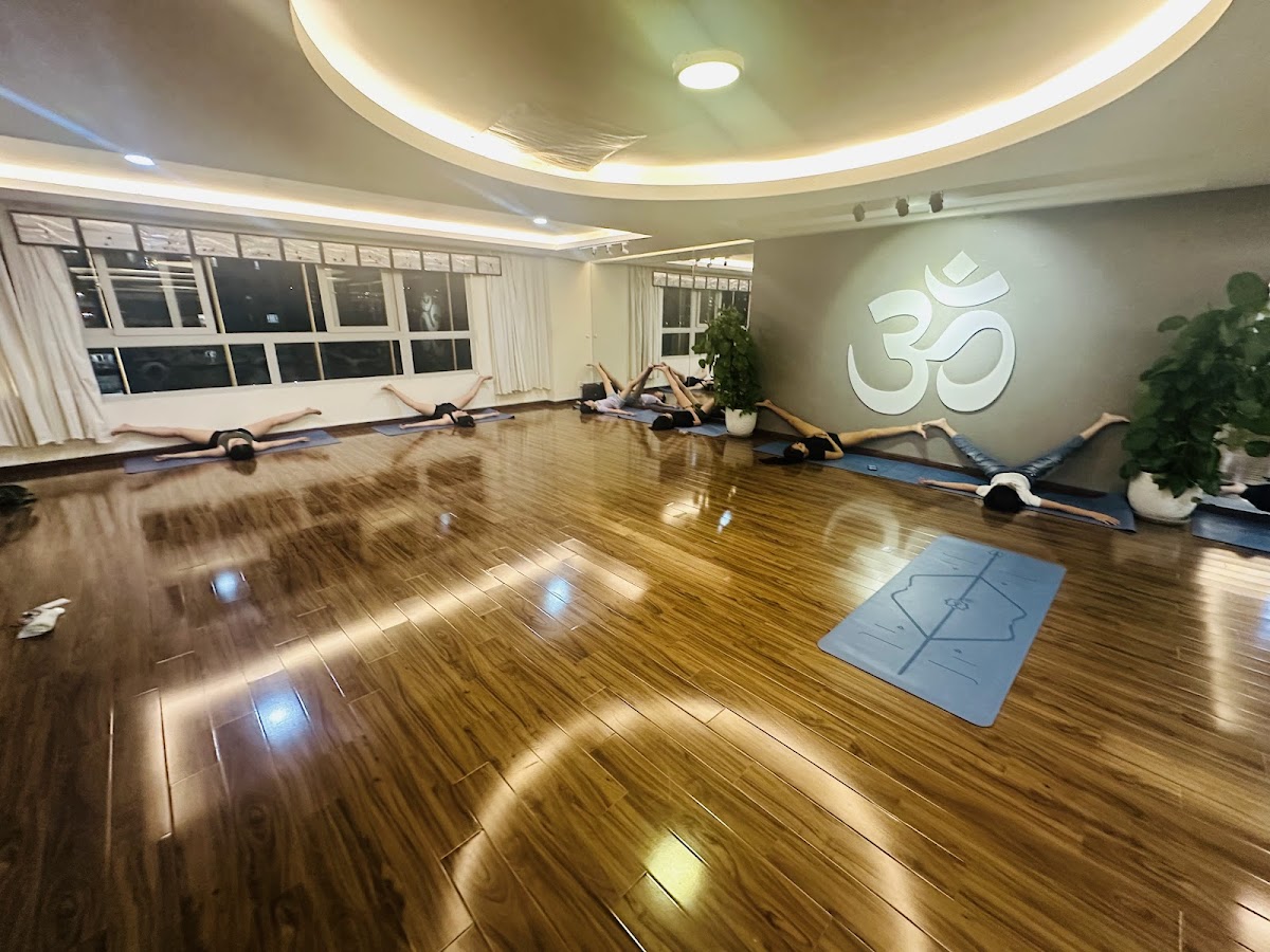 The Art of Movement - Yoga & Dance & Fitness Studio